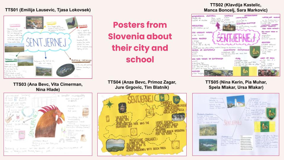 polish slovenian cooperation