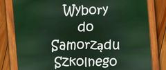 wybory samorzad