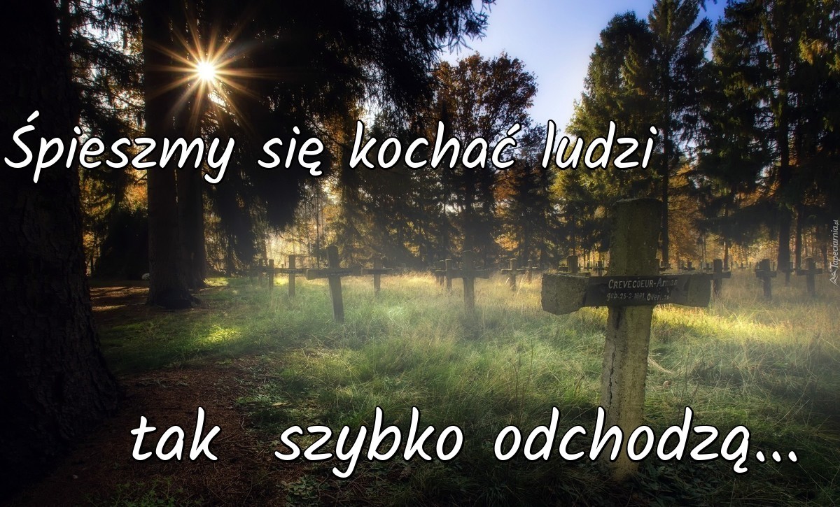 spieszmy sie kochac ludzi