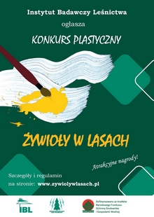 zywioly w lasach