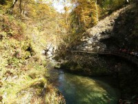 SAVE_20191017_185948