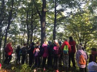 skarby_malopolski (24)