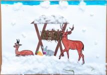 19. Myrt Marcelina, kl.1 SP Zawada