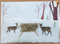 46. Bednarczyk Jagoda, kl.2b SP4 Myślenice