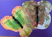 Agnieszka kl.1b,świetlica