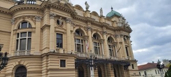 chory_z_urojenia (11)