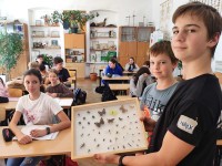 owady_przekazanie_03