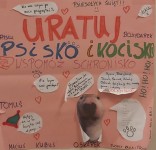 mikolajki_dla_zwierzat (2)