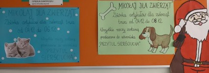 mikolajki_dla_zwierzat (5)