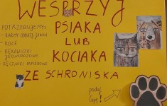 mikolajki_dla_zwierzat (6)