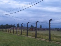 auschwitz (4)